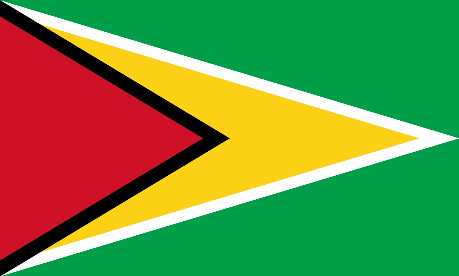 Guyana International Airports Guyana
